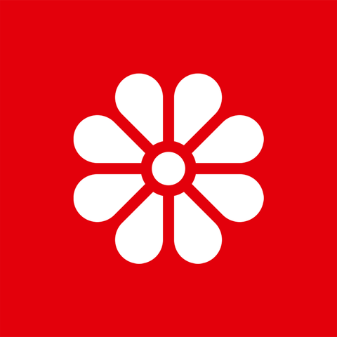 Flores Eternas para Montar — Buquês, Bonsais e Plantas em Blocos de Encaixe