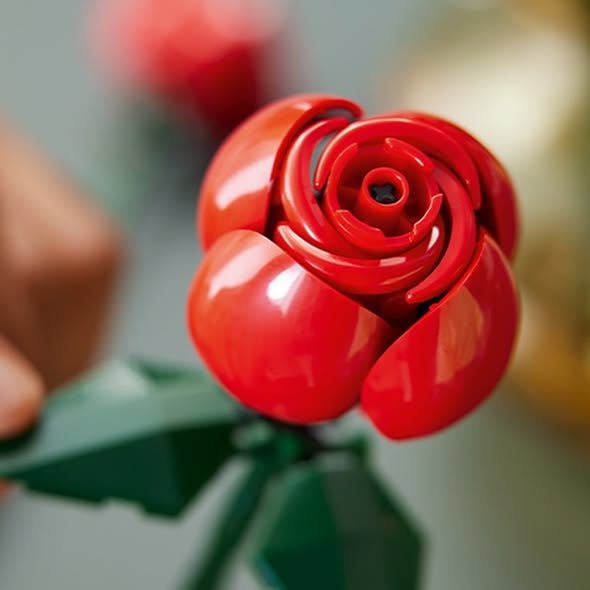 Buquê de Rosas (822 peças)