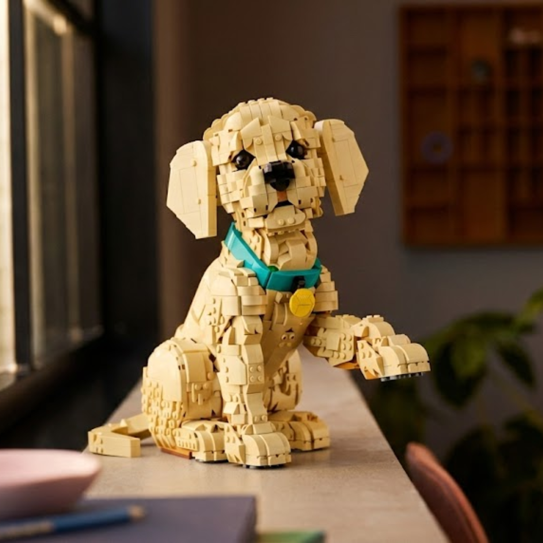 Cachorrinho Golden Retriever (2102 peças)
