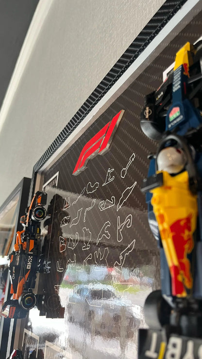 Quadro de Fibra de Carbono - Mini F1