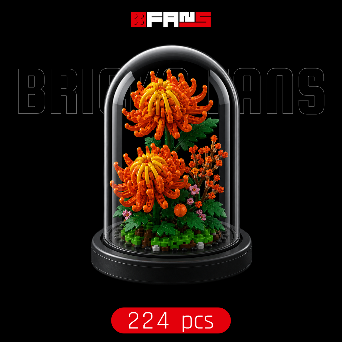 Redoma de Crisantemos Laranja (224 peças) | Capa 1