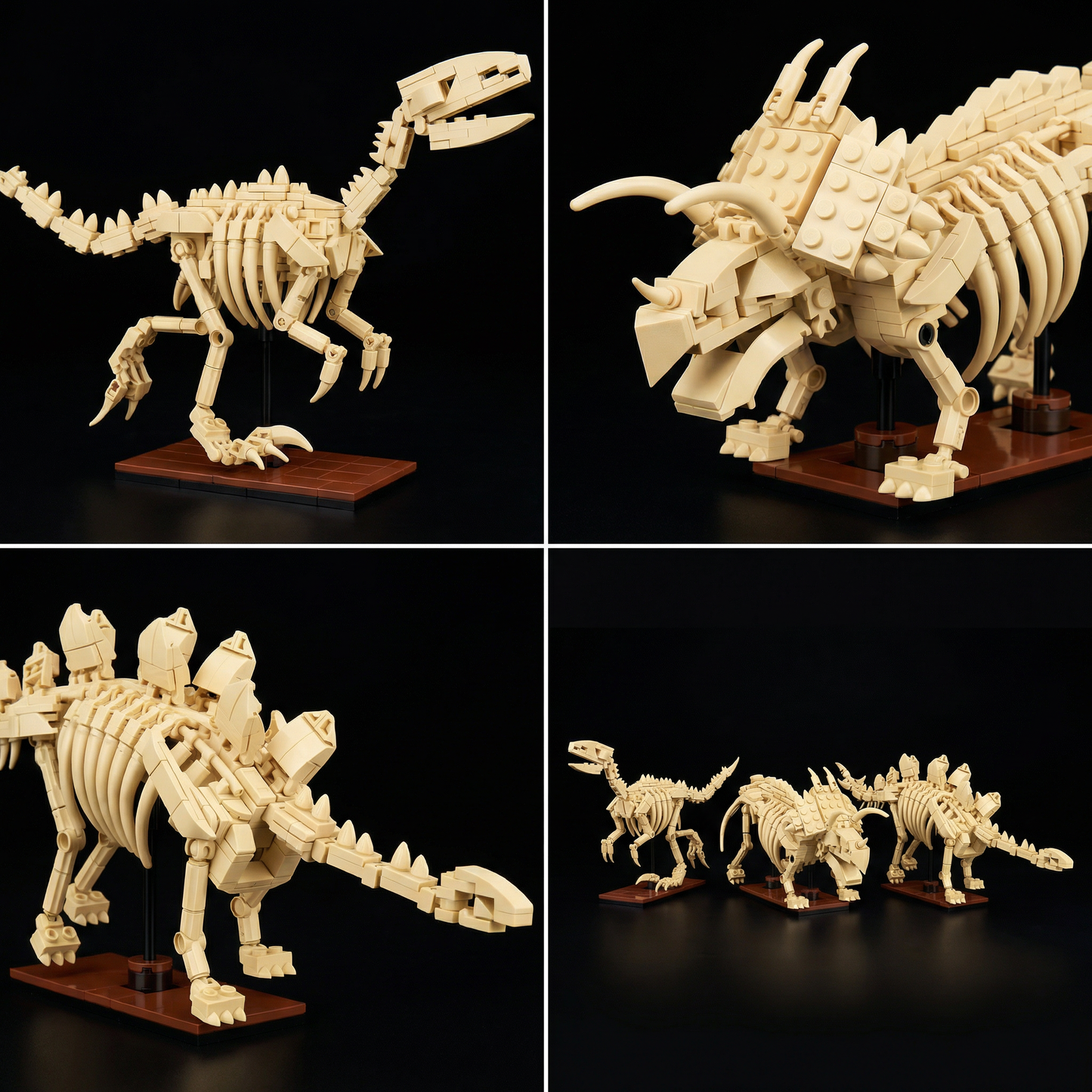 Dinossauros - Esqueletos 3 em 1 (825 peças)