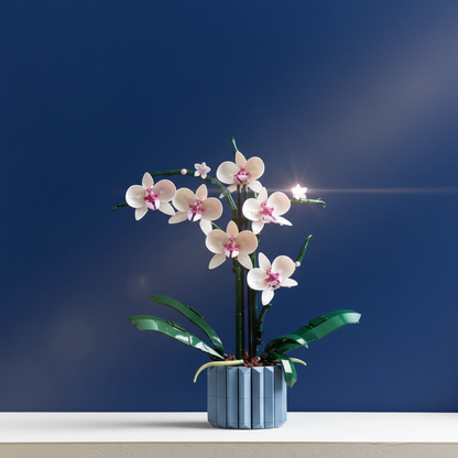 Buquê de Orquídeas em Vaso (711 peças)