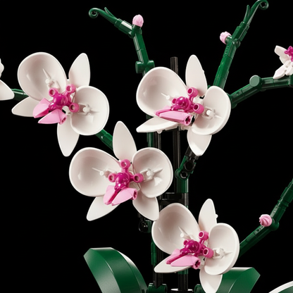 Buquê de Orquídeas em Vaso (711 peças)