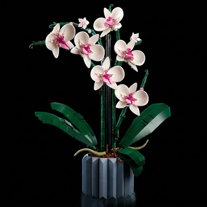 Buquê de Orquídeas em Vaso (711 peças)